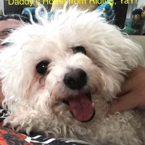 Meet your Posher, Alberto